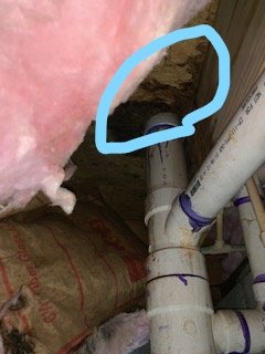 Termite Damange